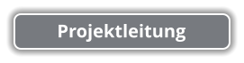 Projektleitung