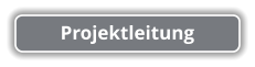 Projektleitung