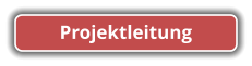 Projektleitung